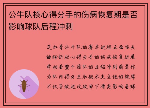 公牛队核心得分手的伤病恢复期是否影响球队后程冲刺